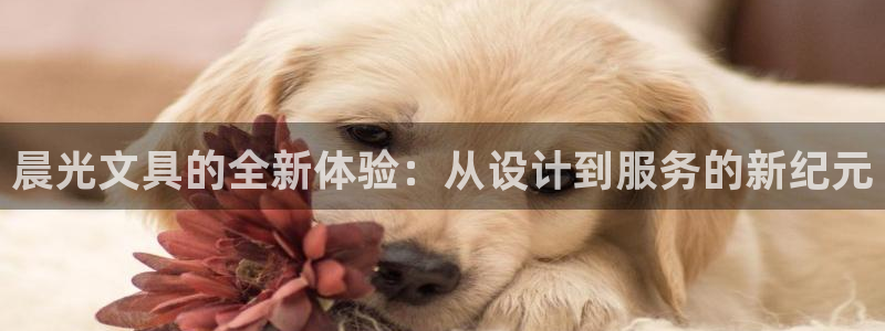 九游会啊