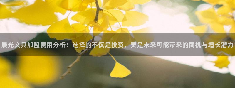 九游会体育-首页：晨光文具加盟费用分析：