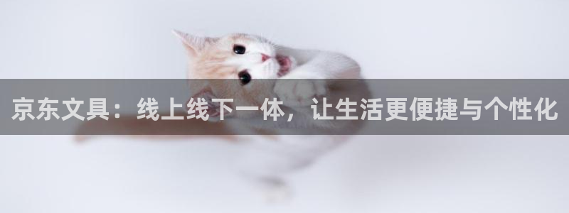 九游会体育官网：京东文具：线上线下一体，