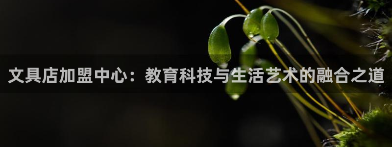 ag九游会j9类似平台：文具店加盟中心：