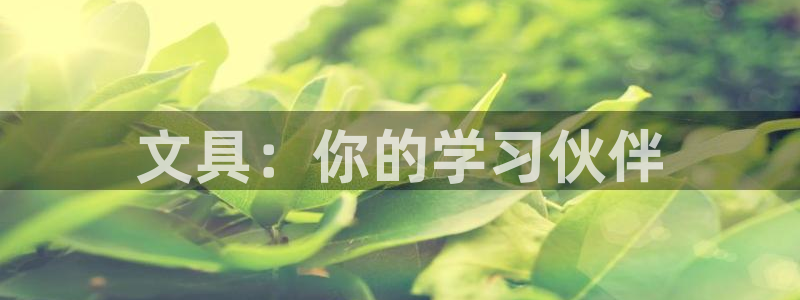 北京冬奥会九游：文具：你的学习伙伴