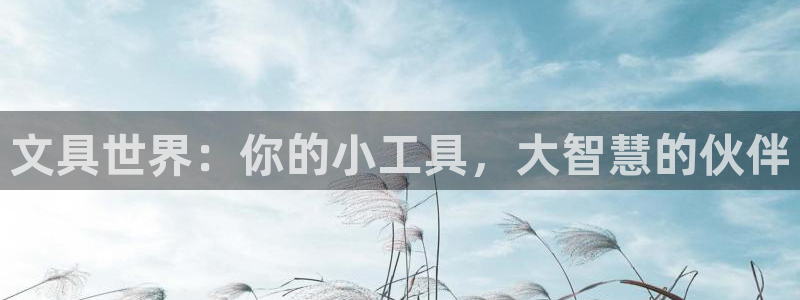 九游会登录平台：文具世界：你的小工具，大