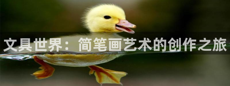 九游会 官网：文具世界：简笔画艺术的创作