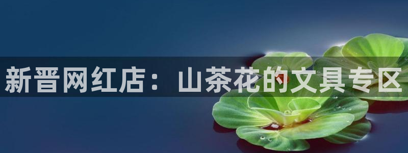 九游会登录地址错误吗：新晋网红店：山茶花