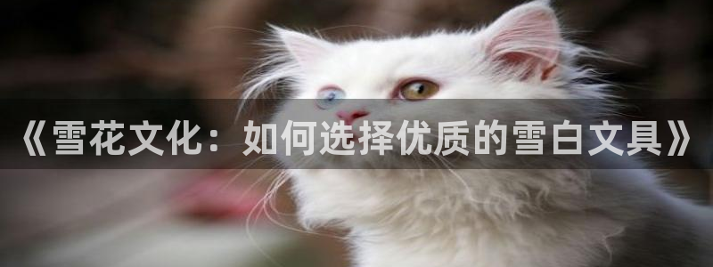 九游会网站登录手机：《雪花文化：如何选择