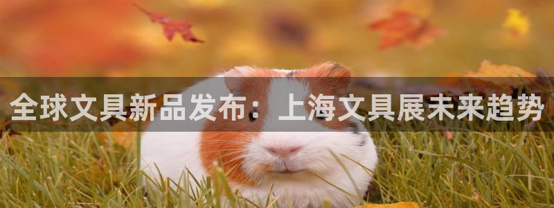 ag变九游会：全球文具新品发布：上海文具