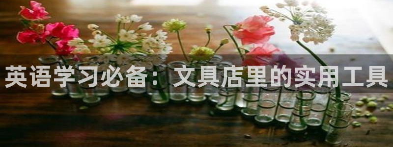 九游会9：英语学习必备：文具店里的实用工