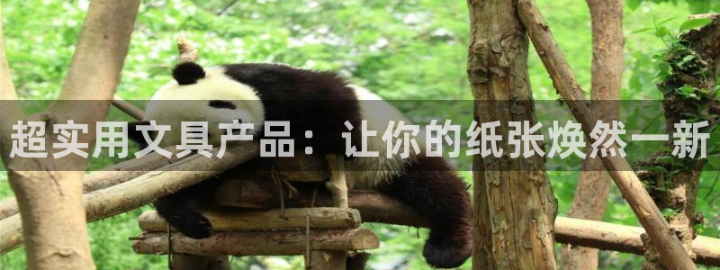 九游会特斯拉：超实用文具产品：让你的纸张