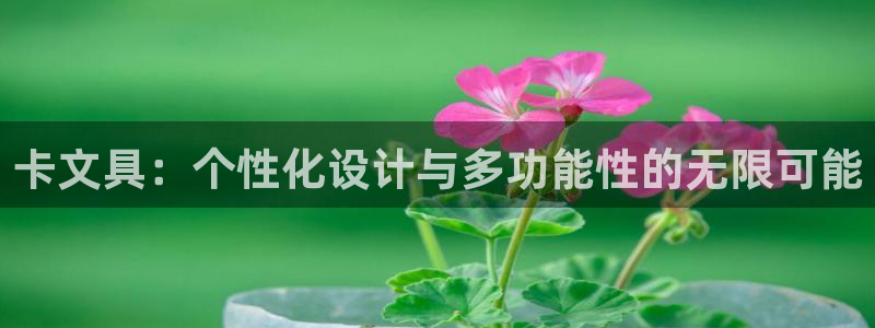 九游会招商：卡文具：个性化设计与多功能性