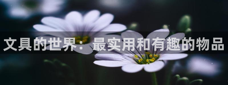 j9九游会登陆旧版：文具的世界：最实用和