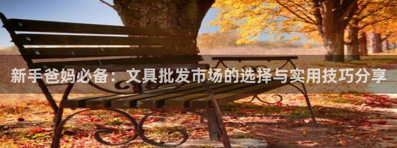 尊龙和九游会：新手爸妈必备：文具批发市场