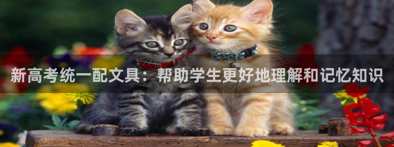 ag旧版九游会：新高考统一配文具：帮助学