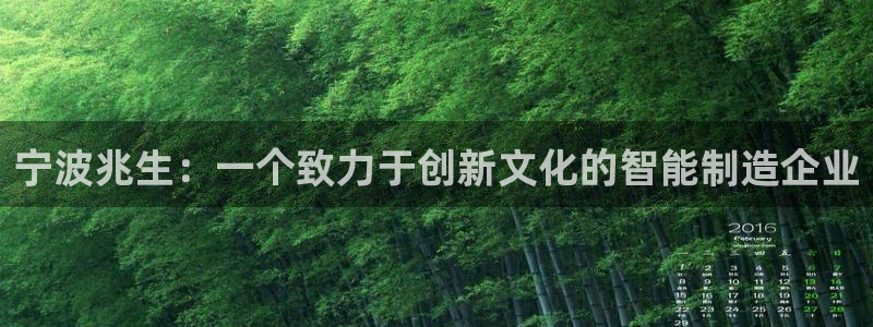 九游会交流群：宁波兆生：一个致力于创新文