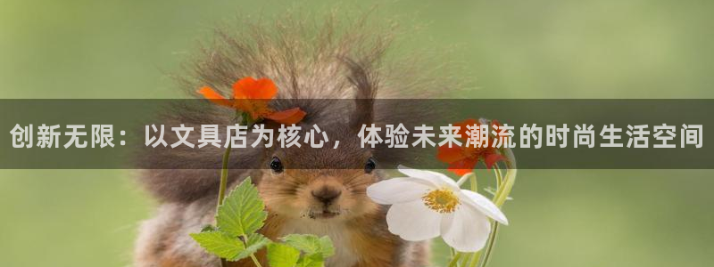 九游会手机登陆吗：创新无限：以文具店为核