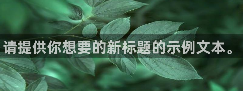 九游会电竞：请提供你想要的新标题的示例文