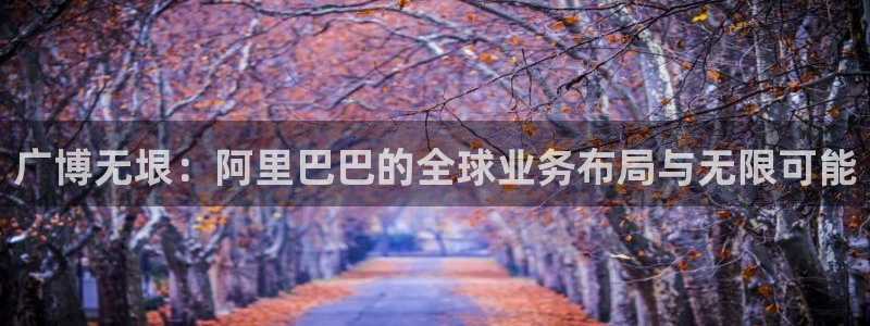 九游会登录首页：广博无垠：阿里巴巴的全球