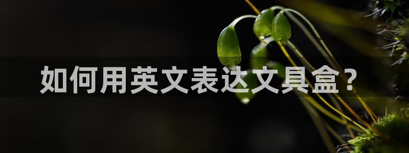 九游会推荐：如何用英文表达文具盒？