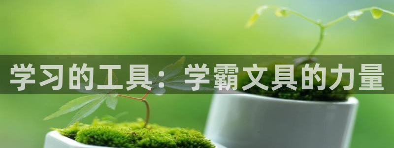 九游会j 9：学习的工具：学霸文具的力量