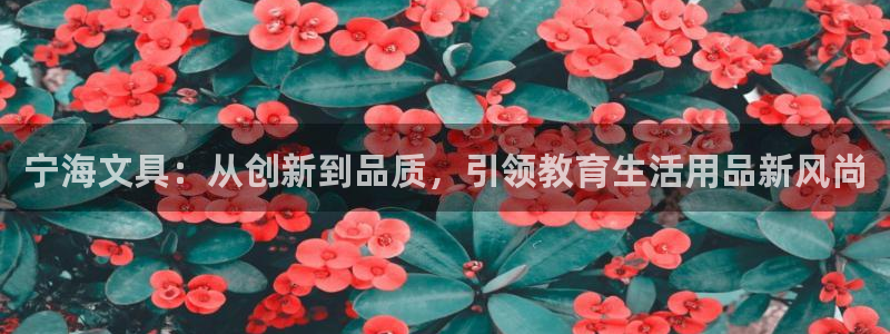 九游老哥会：宁海文具：从创新到品质，引领