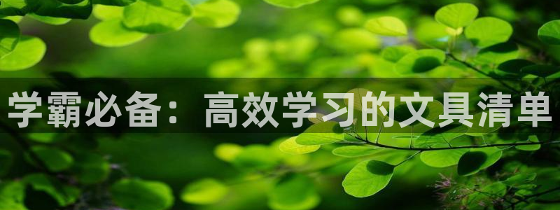 九游异地登录会怎么样：学霸必备：高效学习
