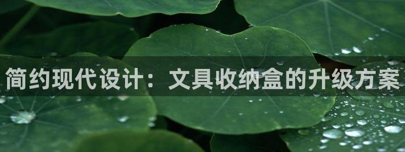 九游会视讯厅：简约现代设计：文具收纳盒的