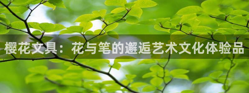 九游会直营：樱花文具：花与笔的邂逅艺术文