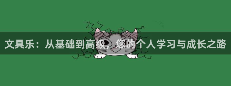 中国九游会：文具乐：从基础到高级，您的个