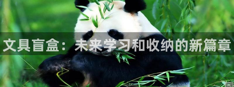 平凉九月游推荐会：文具盲盒：未来学习和收