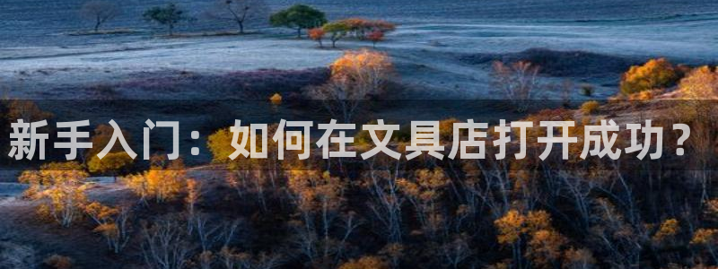 九游会官方下载：新手入门：如何在文具店打