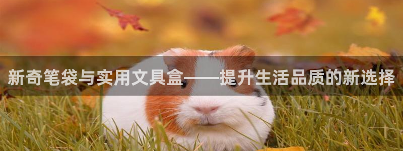九游会国际直营：新奇笔袋与实用文具盒——