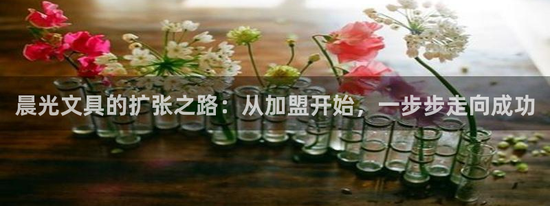九游会平台最强：晨光文具的扩张之路：从加