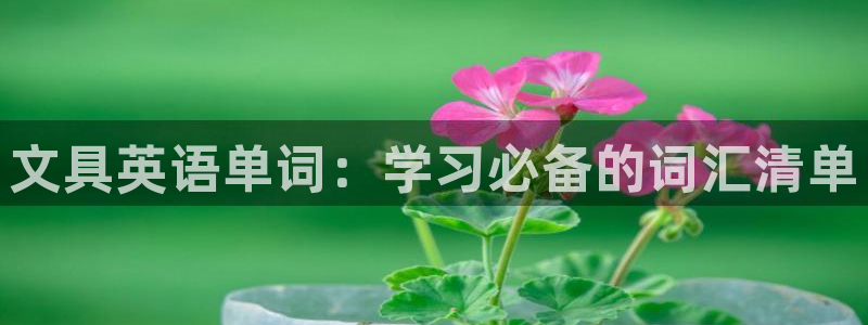 九游会官网人口：文具英语单词：学习必备的