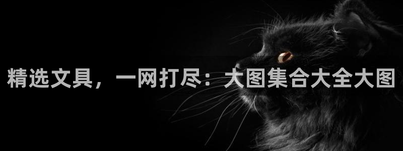 九游会正规网：精选文具，一网打尽：大图集