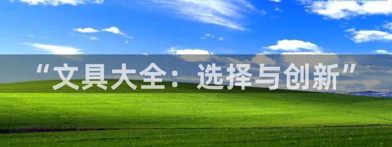 九游会入口：“文具大全：选择与创新”