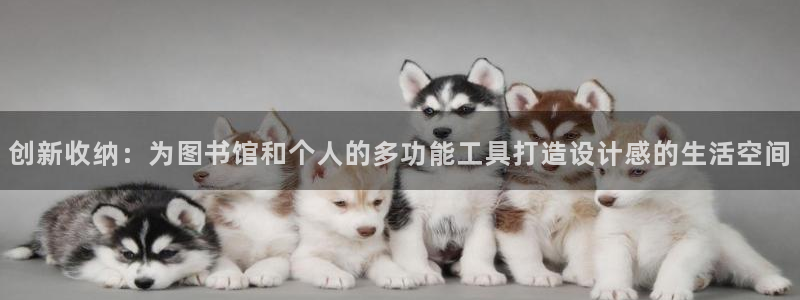 光遇九游会和服吗：创新收纳：为图书馆和个