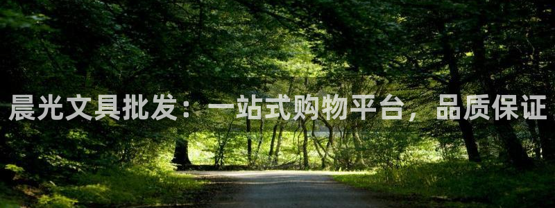 九游会手机登陆吗：晨光文具批发：一站式购