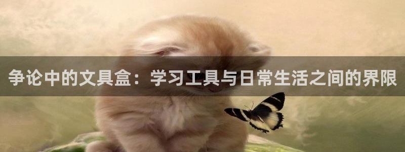 ag8九游会登陆：争论中的文具盒：学习工