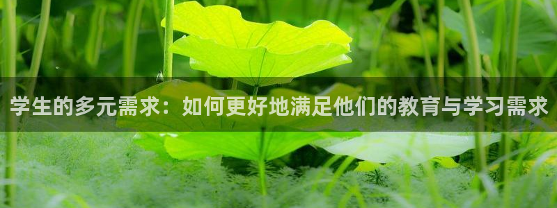 九游会财神：学生的多元需求：如何更好地满