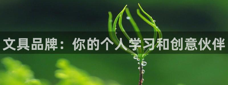 九游会游：文具品牌：你的个人学习和创意伙