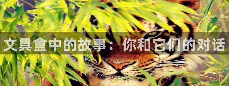 就九游会：文具盒中的故事：你和它们的对话