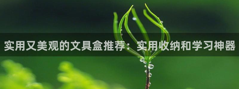 九游会j 9：实用又美观的文具盒推荐：实
