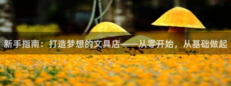 九游会体育app：新手指南：打造梦想的文