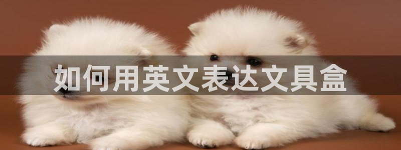 九游会无法登录游戏吗：如何用英文表达文具