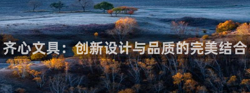 九游会国际官方：齐心文具：创新设计与品质