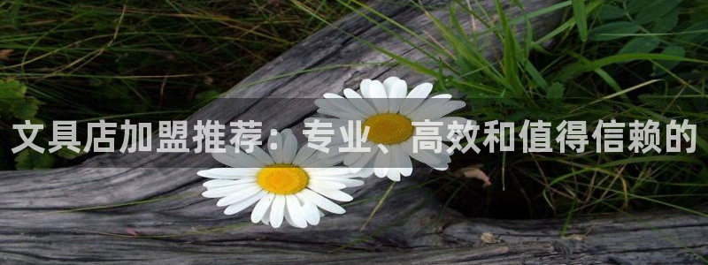 九游会不能：文具店加盟推荐：专业、高效和