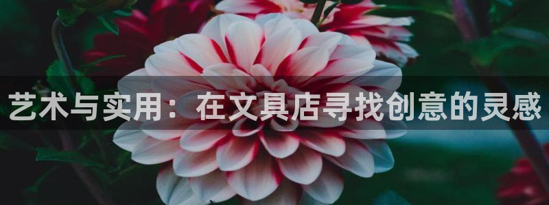 九游会招商：艺术与实用：在文具店寻找创意