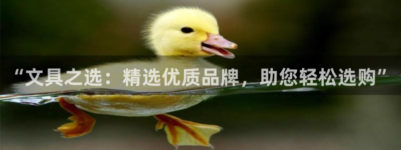 九游会的网址：“文具之选：精选优质品牌，