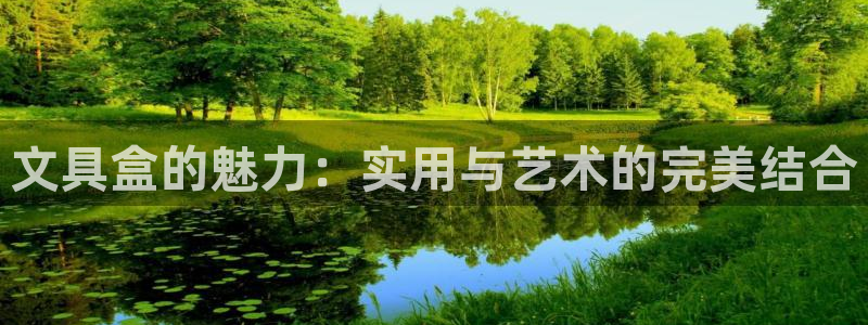 九游会手机登录：文具盒的魅力：实用与艺术