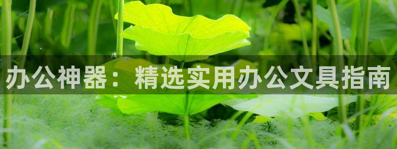 九游会真人游戏第一品：办公神器：精选实用