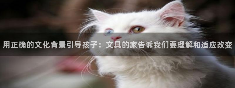 九游与九游会：用正确的文化背景引导孩子：